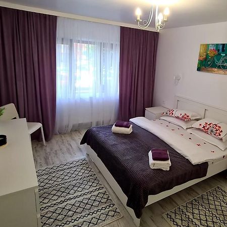 La Fluturi Apartament Apartman Szucsáva Kültér fotó