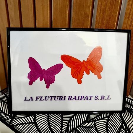 La Fluturi Apartament Apartman Szucsáva Kültér fotó